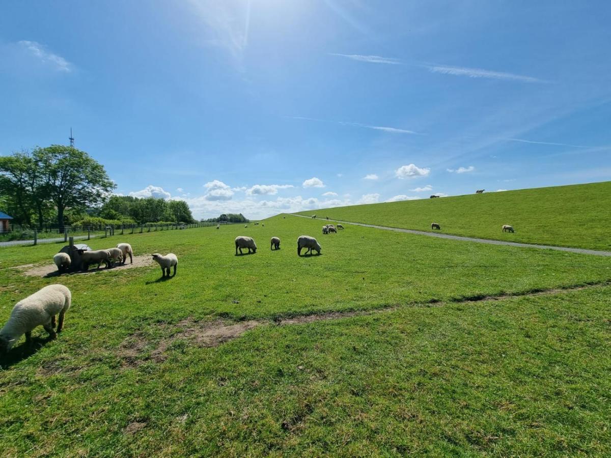 Ferienhaus Moewennest Villa Norden Esterno foto